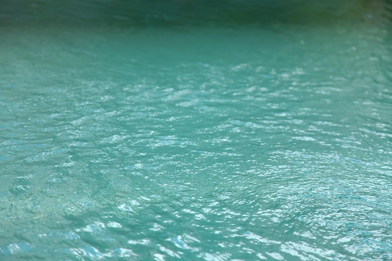 swimming pool, water surface, water wave, swimming pool, swimming pool, swimming pool, swimming pool, swimming pool. A day in a pool service business, written as procedures
