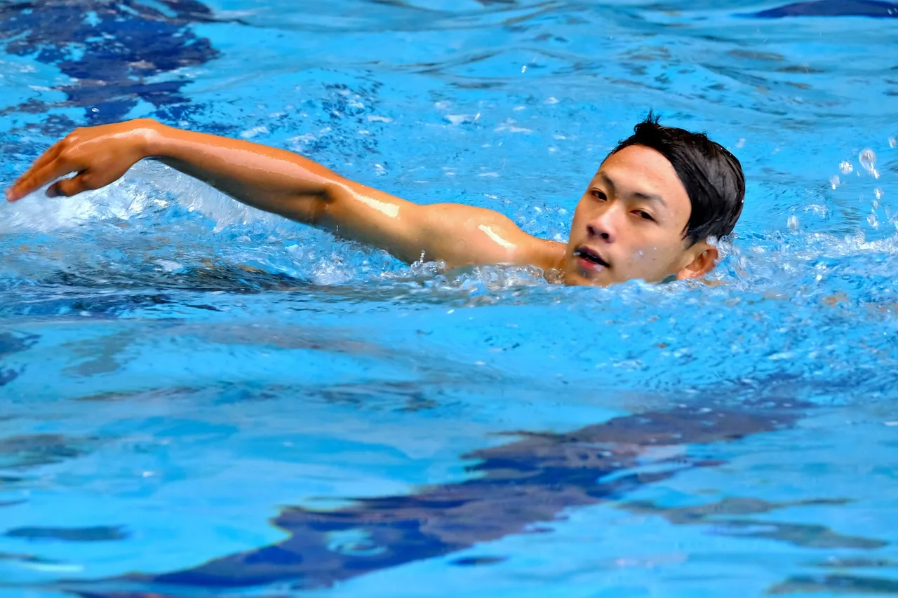 swimming, athlete, pool, young man, freestyle stroke, sport, competition, swimming pool, swimming, swimming, swimming, swimming, swimming, swimming pool. Pool service license requirements: examples